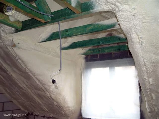 Zdjęcie z galerii